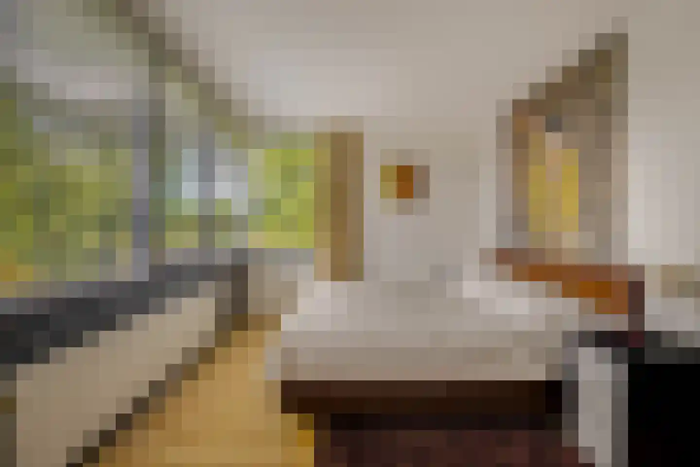 Vliehors 116 Hoofddorp thumbnail 23