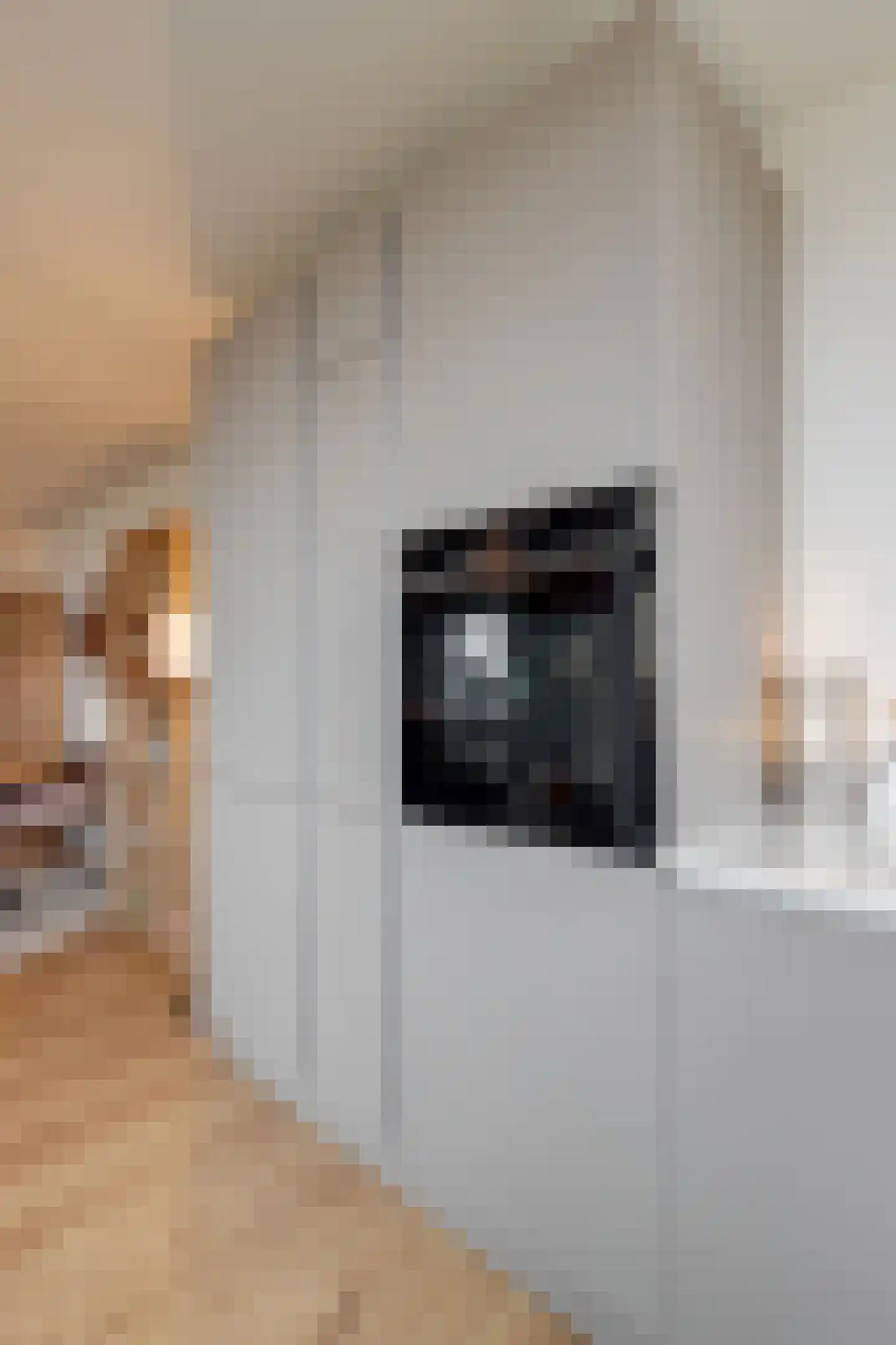 Vliehors 16 Hoofddorp thumbnail 18