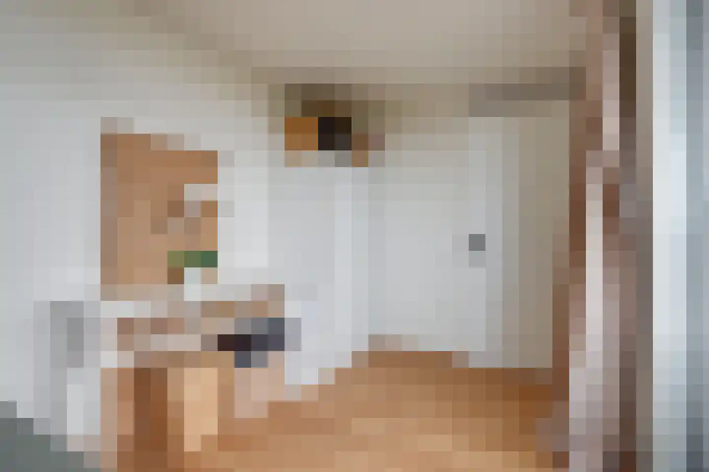 Vliehors 16 Hoofddorp thumbnail 25