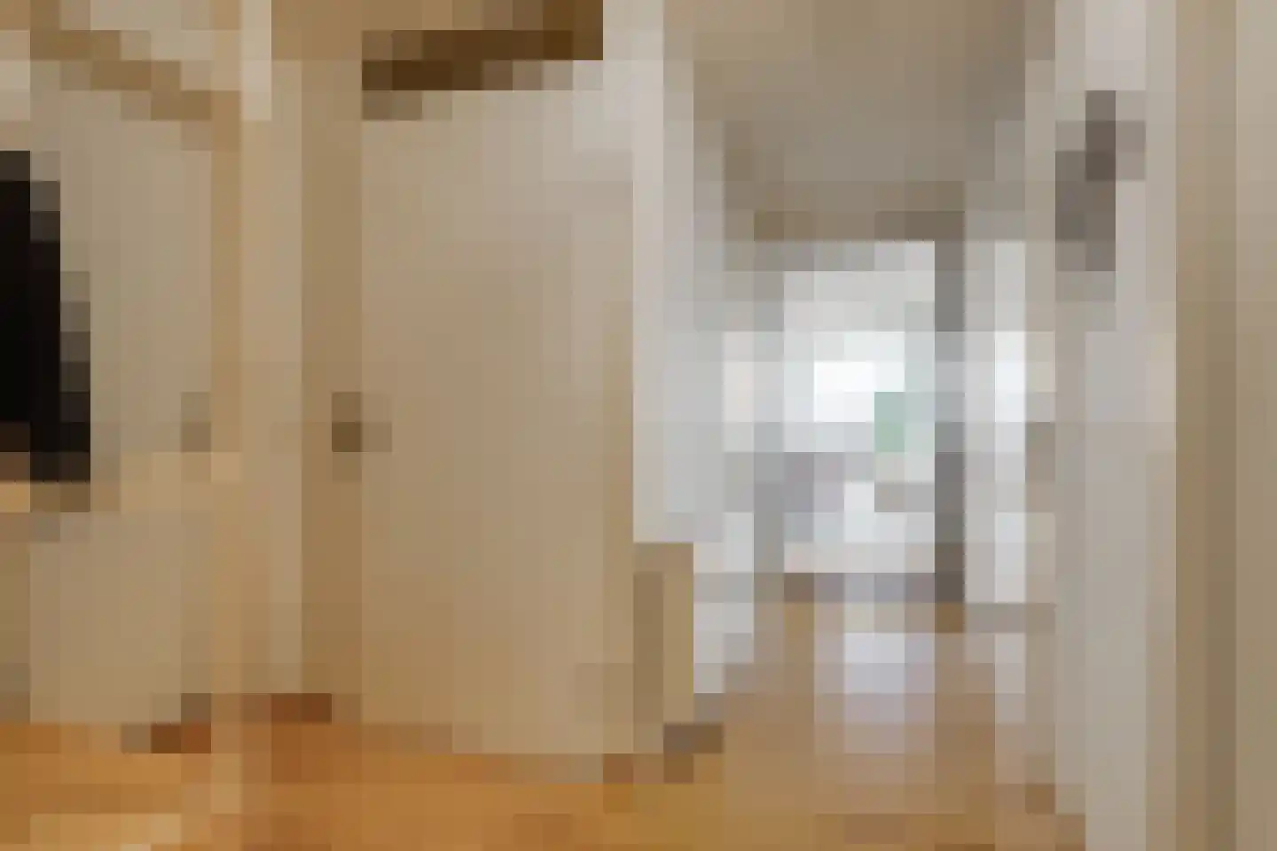 Vliehors 16 Hoofddorp thumbnail 9