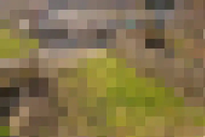 Vliehors 16 Lelystad thumbnail 16