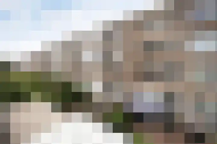 Vliehors 16 Lelystad thumbnail 23