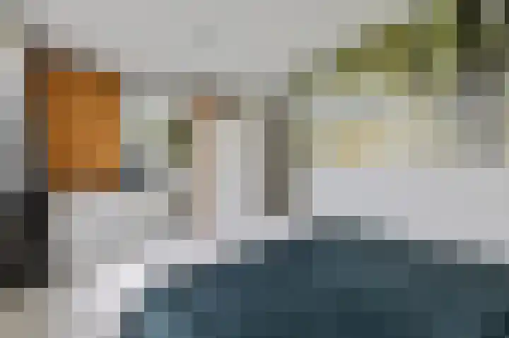 Vliehors 23 Hoofddorp thumbnail 20