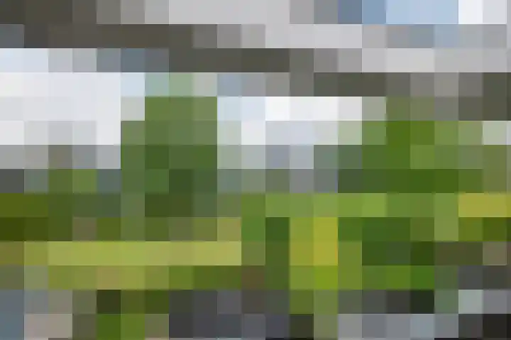 Vliehors 23 Hoofddorp thumbnail 26