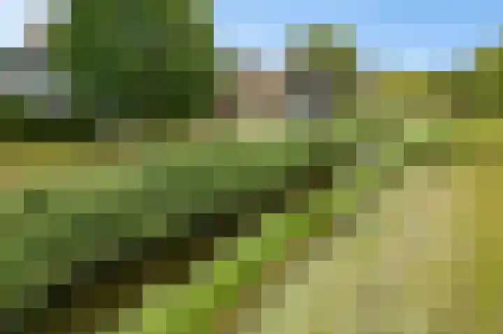 Vliehors 23 Hoofddorp thumbnail 30