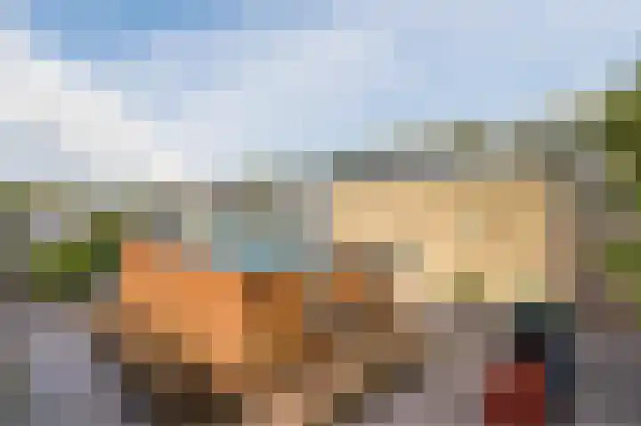 Vliehors 28 Lelystad thumbnail 37
