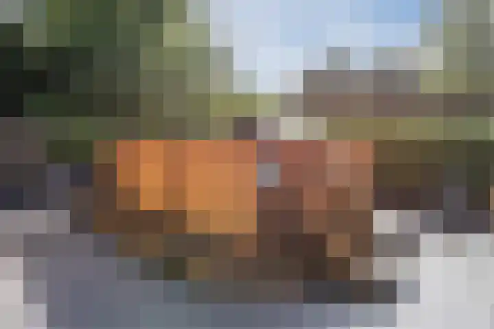 Vliehors 28 Lelystad thumbnail 38