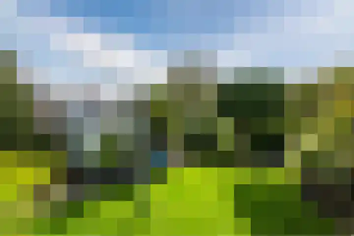 Vliehors 28 Lelystad thumbnail 40