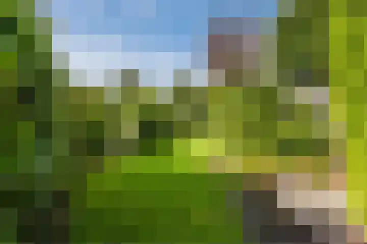 Vliehors 28 Lelystad thumbnail 46