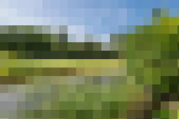 Vliehors 28 Lelystad thumbnail 53