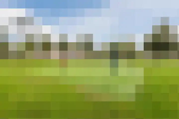 Vliehors 28 Lelystad thumbnail 54