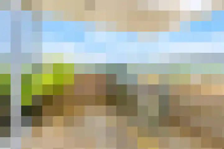 Vliehors 44 Hoofddorp thumbnail 23