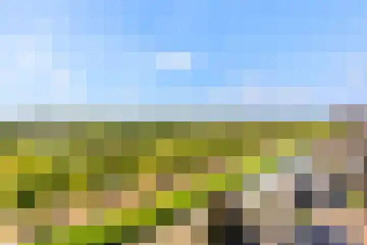 Vliehors 44 Hoofddorp thumbnail 25