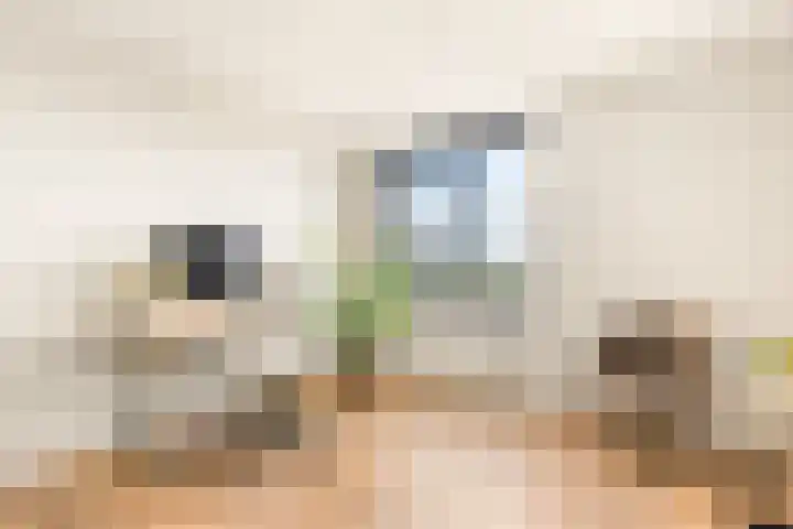 Vliehors 44 Hoofddorp thumbnail 27