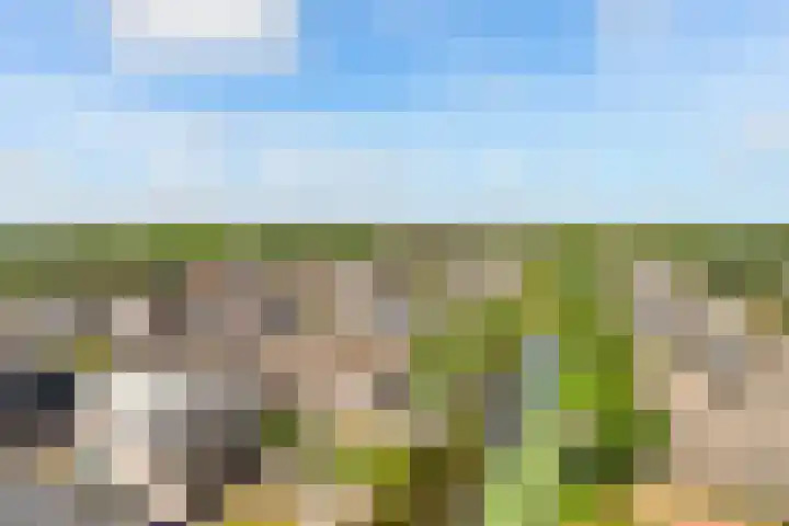 Vliehors 44 Hoofddorp thumbnail 40
