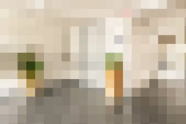 Vliehors 44 Hoofddorp thumbnail 8