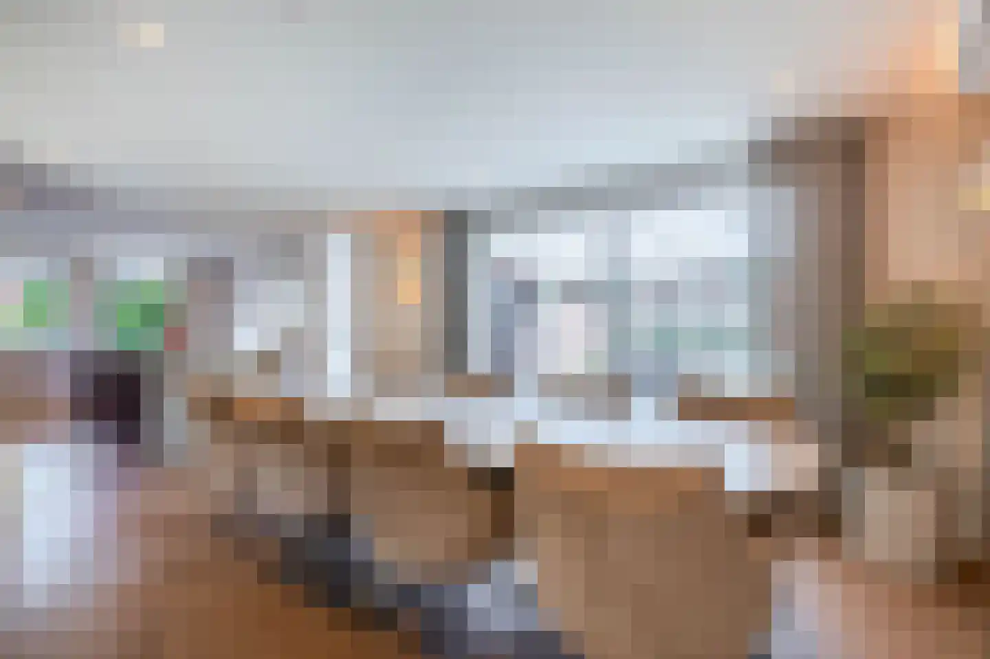 Vliehorstweide 18 Helmond thumbnail 22