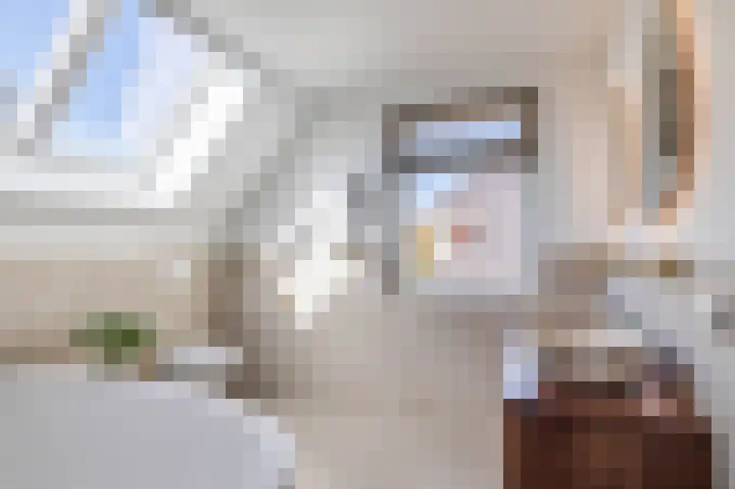 Vliehorstweide 18 Helmond thumbnail 49