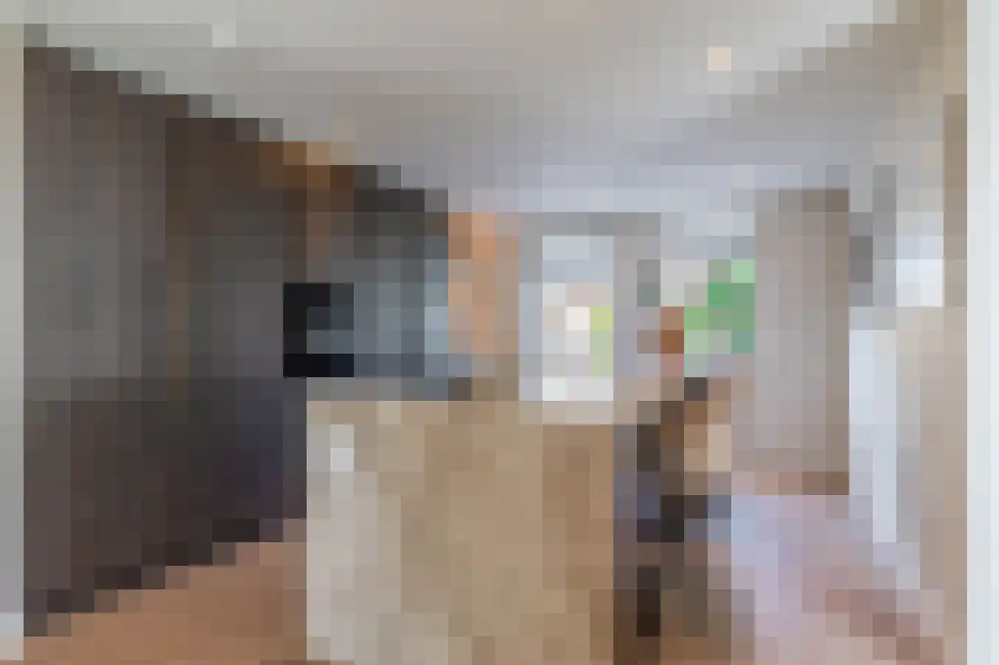 Vliehorstweide 18 Helmond thumbnail 6