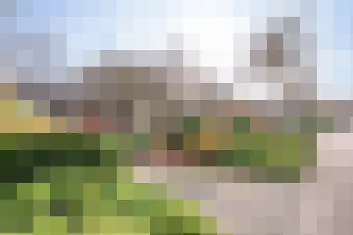 Vliehorstweide 22 Helmond thumbnail 12