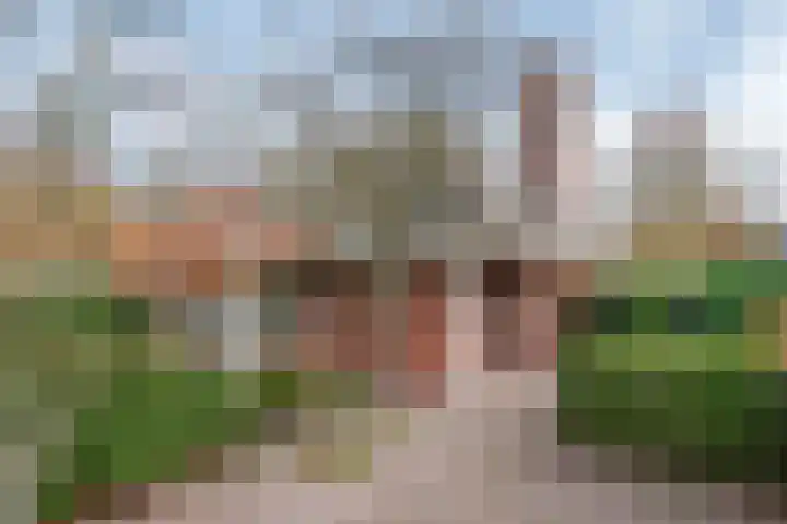 Vliehorstweide 22 Helmond thumbnail 13