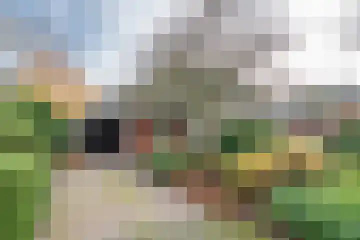 Vliehorstweide 22 Helmond thumbnail 14