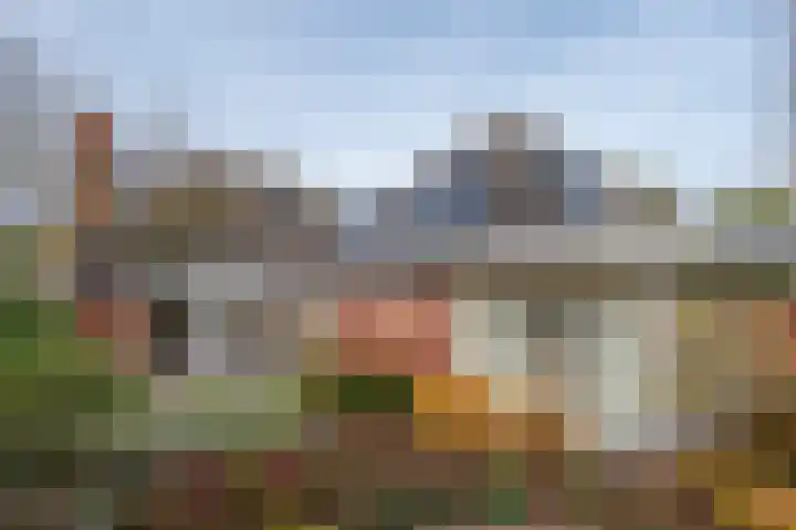 Vliehorstweide 22 Helmond thumbnail 42