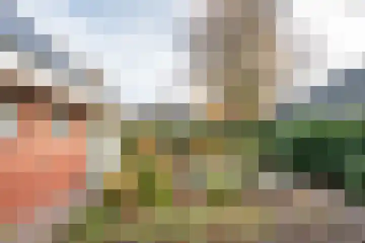 Vliehorstweide 22 Helmond thumbnail 43