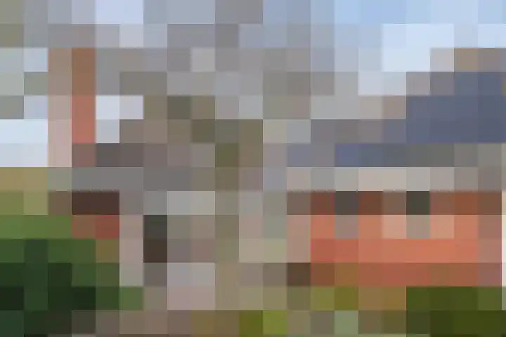 Vliehorstweide 22 Helmond thumbnail 45