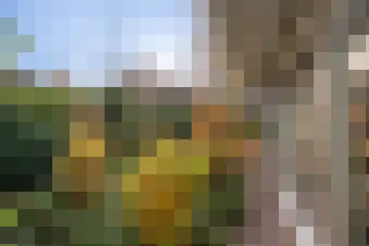Vliehorstweide 22 Helmond thumbnail 48