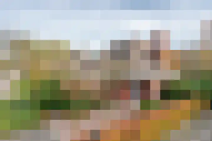 Vliehorstweide 22 Helmond thumbnail 8