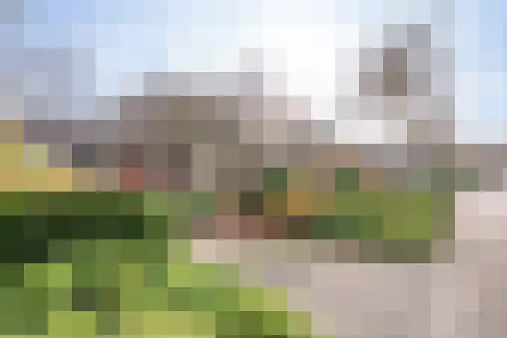 Vliehorstweide 22 Helmond thumbnail 9