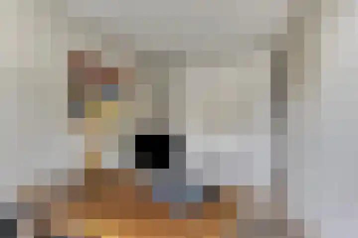 Vliehorstweide 3 Helmond thumbnail 13
