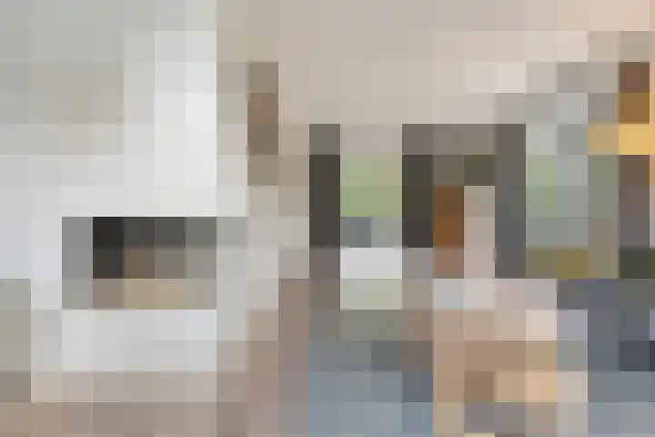 Vliehorstweide 3 Helmond thumbnail 16