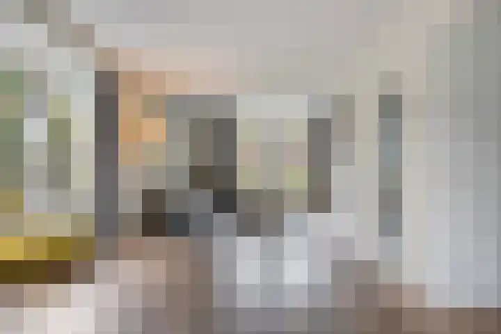 Vliehorstweide 3 Helmond thumbnail 18