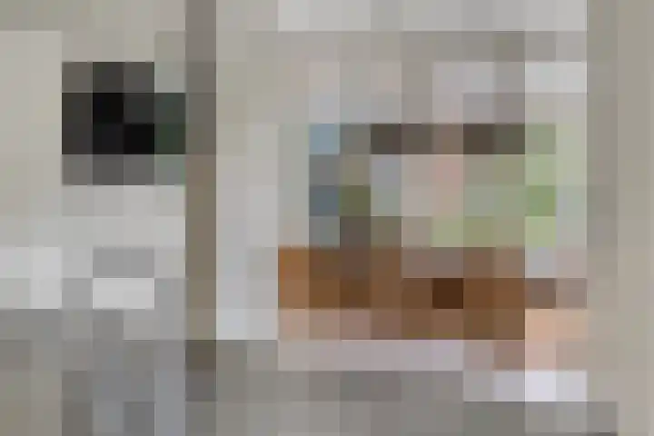 Vliehorstweide 3 Helmond thumbnail 20