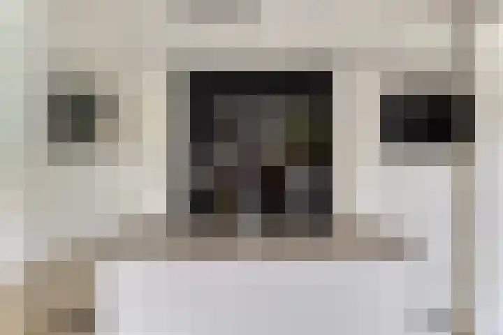 Vliehorstweide 3 Helmond thumbnail 21