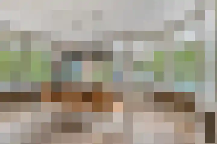 Vliehorstweide 3 Helmond thumbnail 23