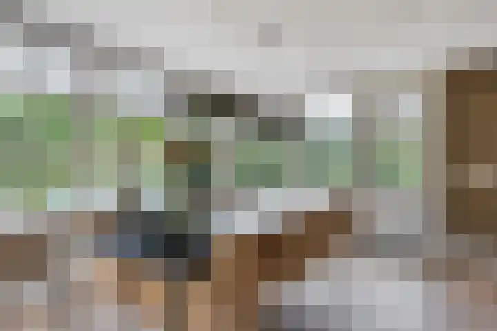 Vliehorstweide 3 Helmond thumbnail 24