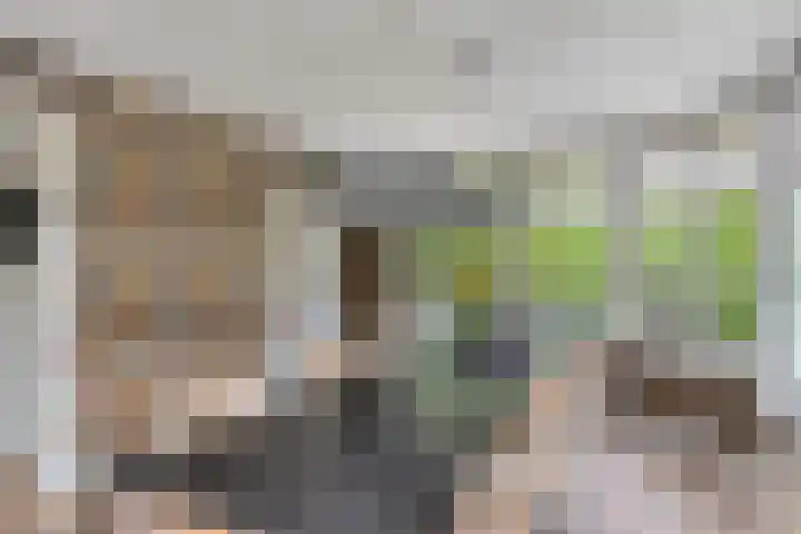 Vliehorstweide 3 Helmond thumbnail 25