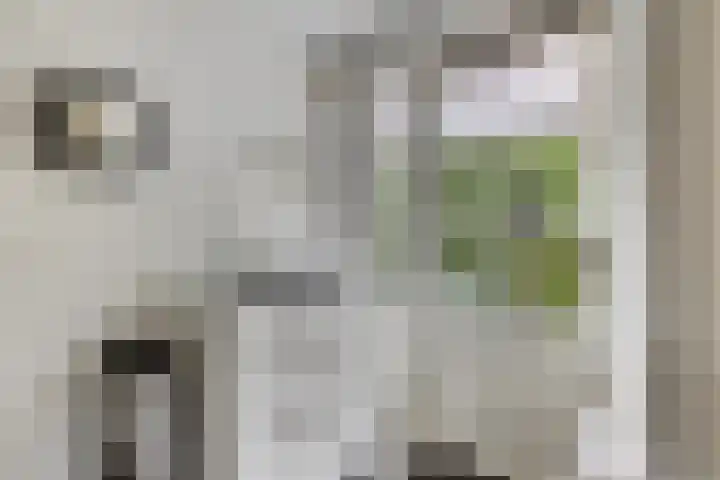 Vliehorstweide 3 Helmond thumbnail 26