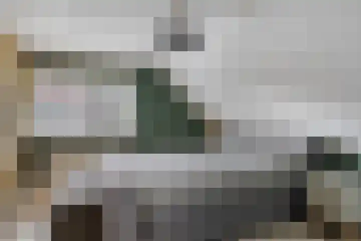 Vliehorstweide 3 Helmond thumbnail 28