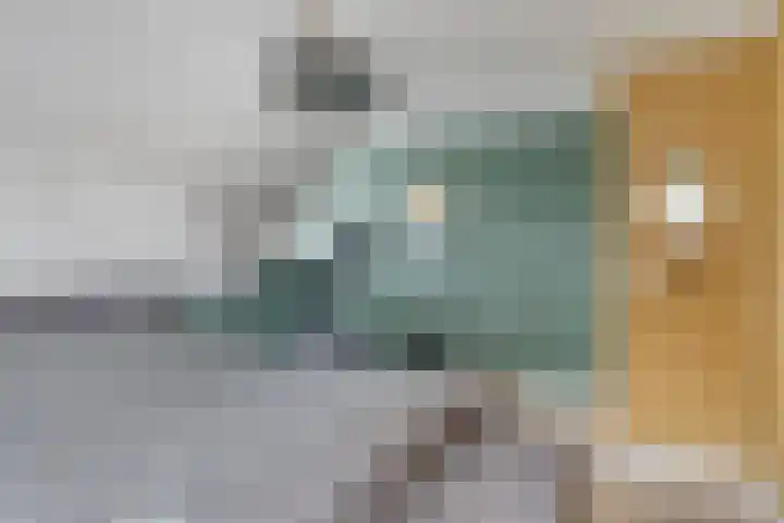 Vliehorstweide 3 Helmond thumbnail 29