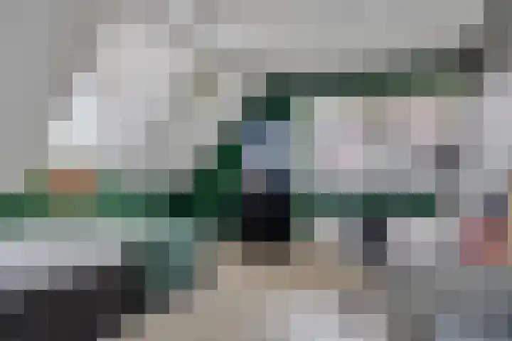 Vliehorstweide 3 Helmond thumbnail 30