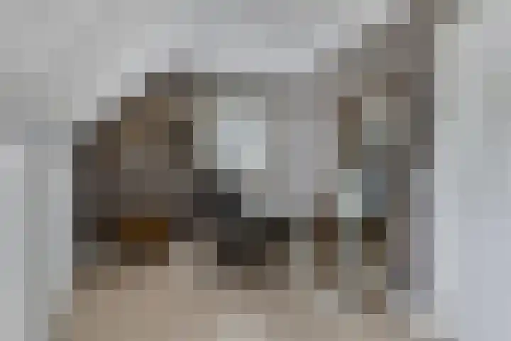 Vliehorstweide 3 Helmond thumbnail 32