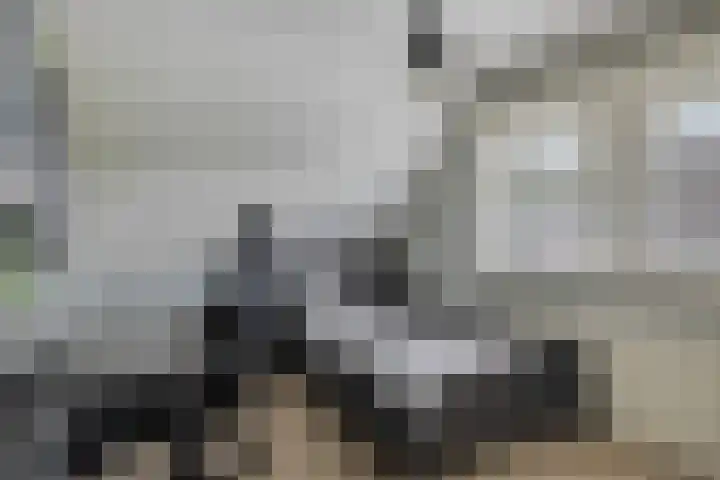 Vliehorstweide 3 Helmond thumbnail 34