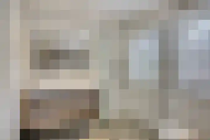 Vliehorstweide 3 Helmond thumbnail 35