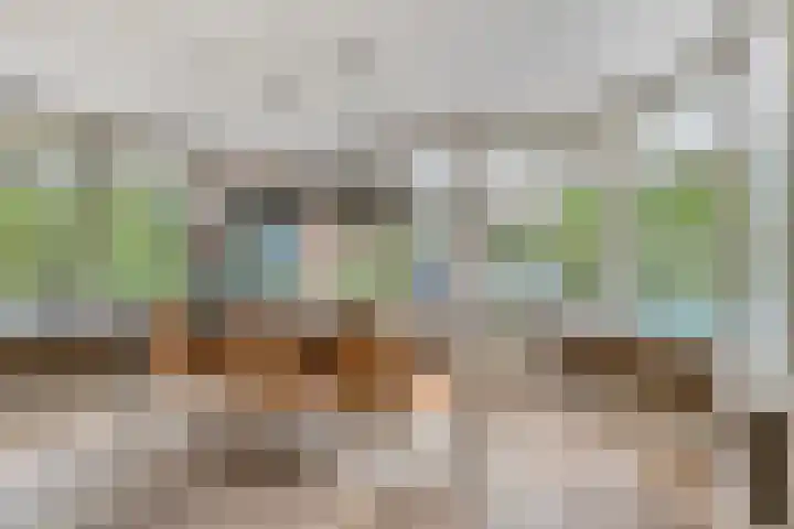 Vliehorstweide 3 Helmond thumbnail 4