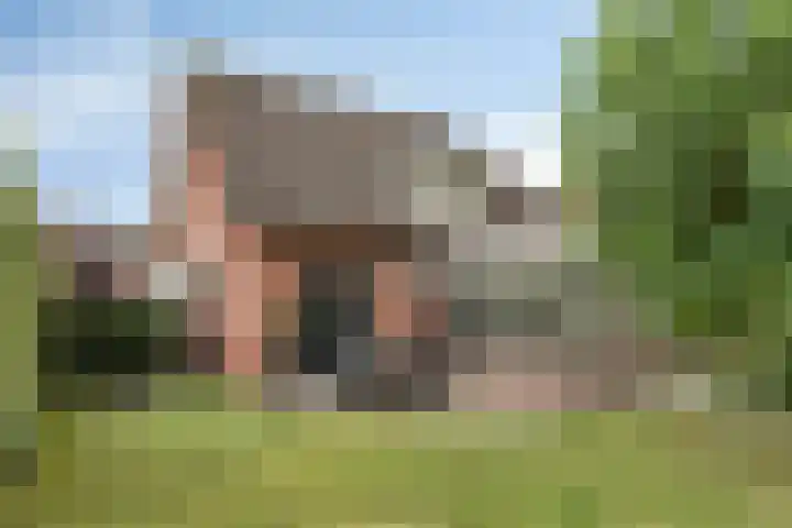 Vliehorstweide 3 Helmond thumbnail 40