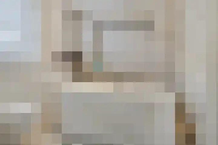 Vliehorstweide 3 Helmond thumbnail 5